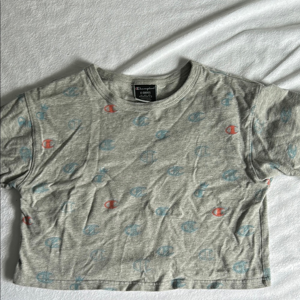 Champion Gray T-Shirt